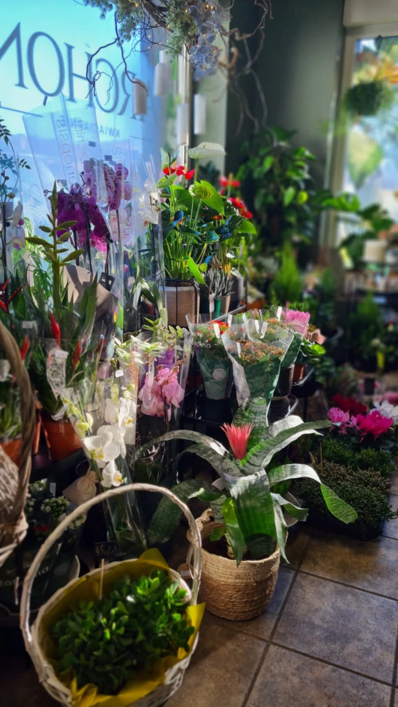 O-kwiaciarni-Archon-15