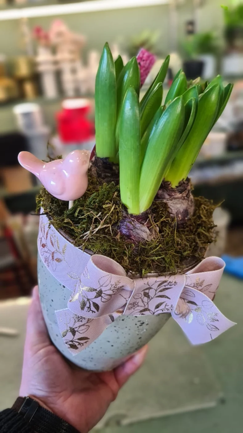 O-kwiaciarni-Archon-16