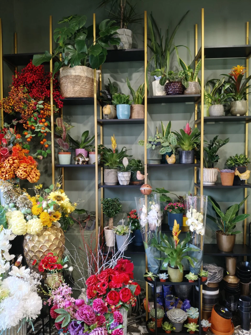 O-kwiaciarni-Archon-6