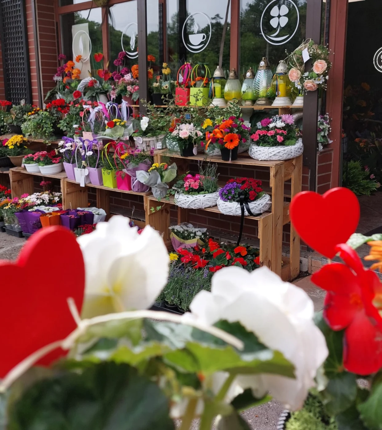 O-kwiaciarni-Archon-9