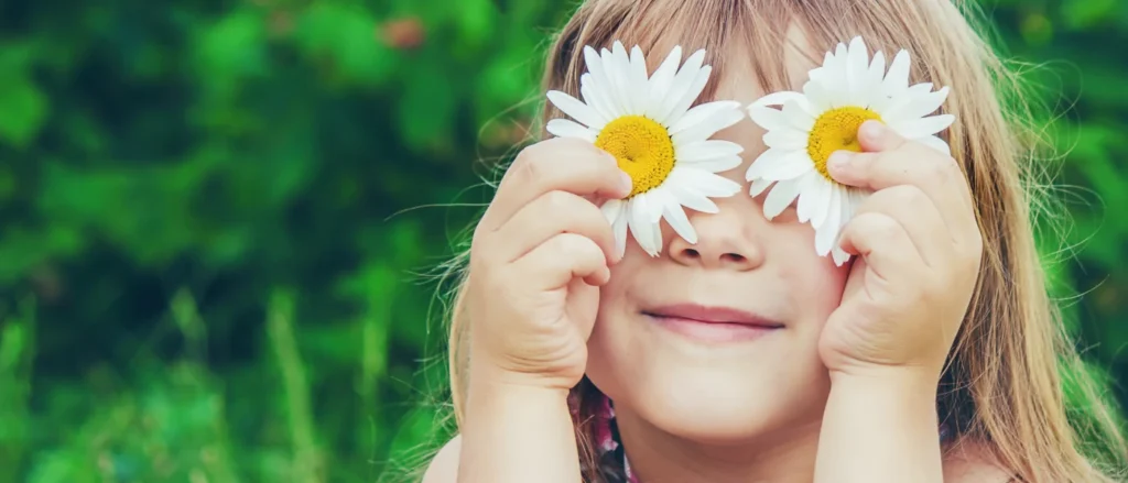 spolecznosc-i-fundacja