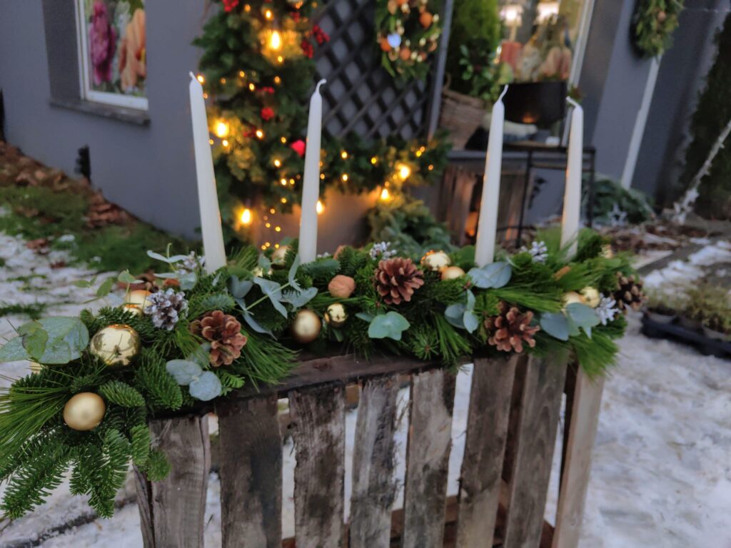 WhatsApp-Image-2025-11-29-at-16